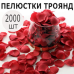 Набір із 2000 шт.: темно-червоні шовкові пелюстки троянд Набір із 2000 шт.: темно-червоні шовкові пелюстки троянд